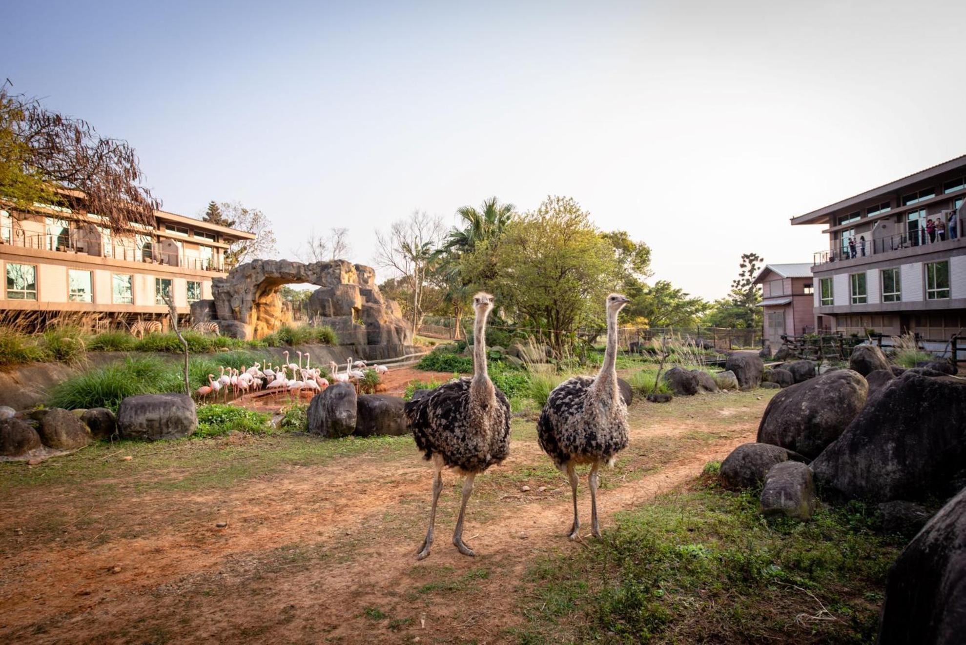 Leofoo Resort Guanshi Guanxi Exterior photo